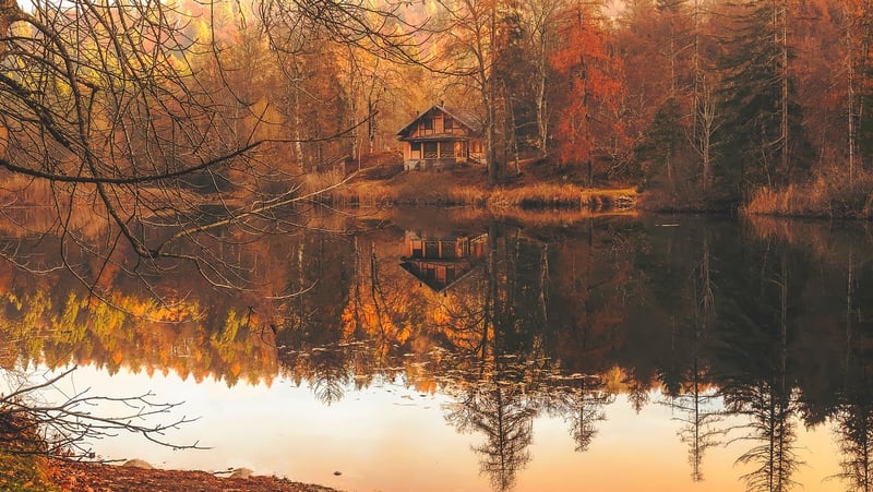 Wooden Cottage in the Forest